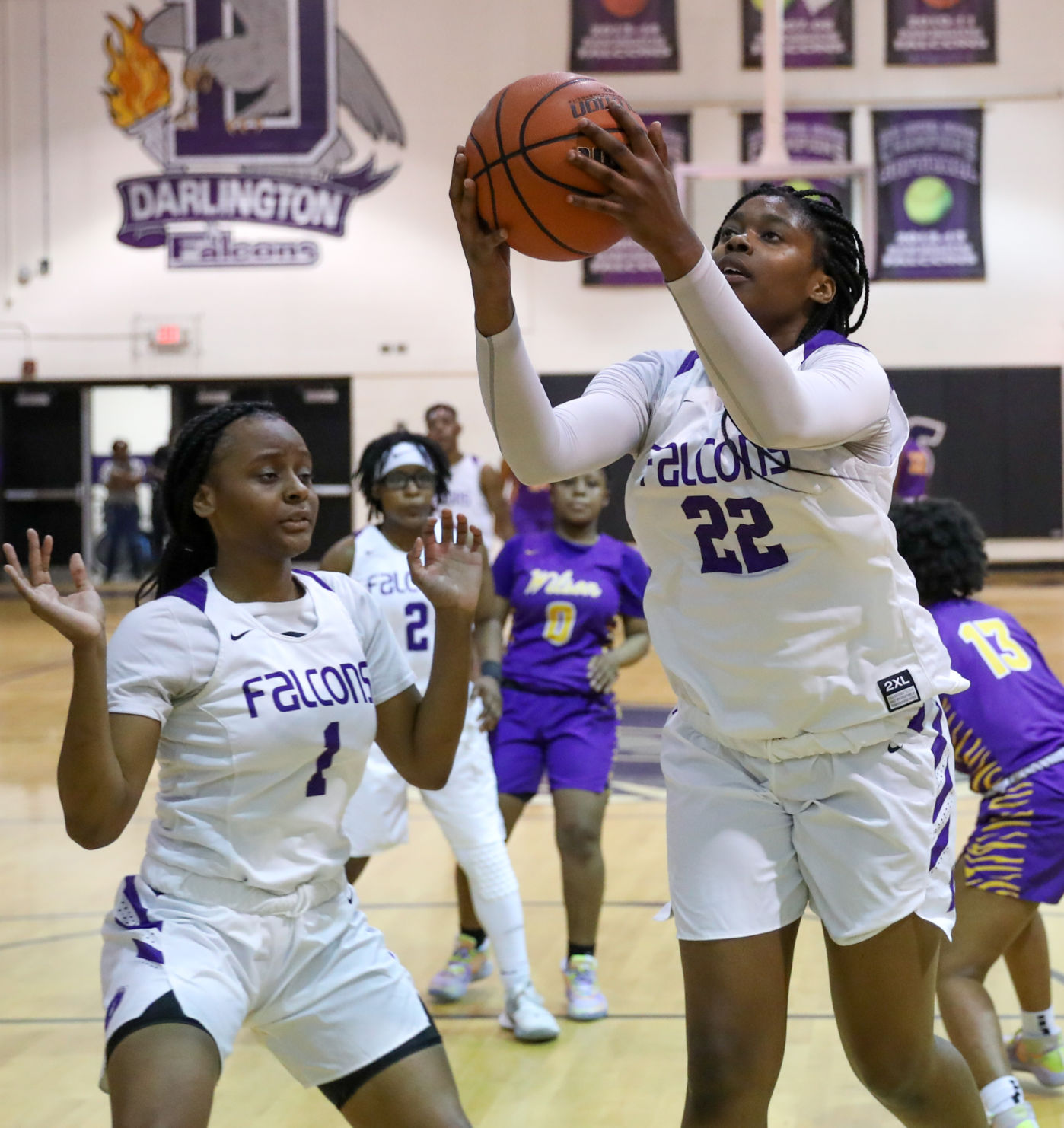 Wilson at Darlington Basketball